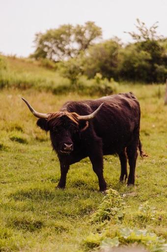 TBD 6 1/2 Avenue, Hillsdale, WI 54733