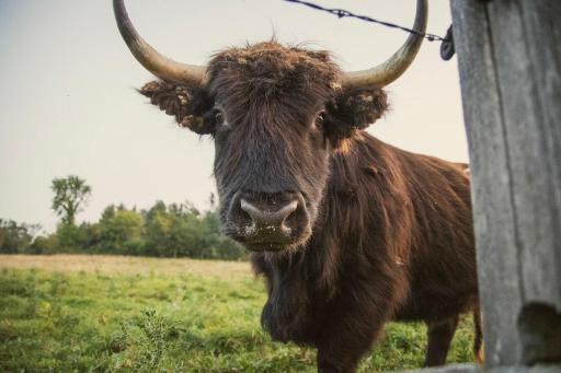 TBD 6 1/2 Avenue, Hillsdale, WI 54733