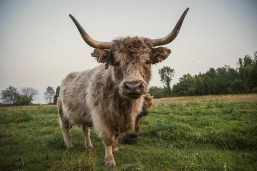 TBD 6 1/2 Avenue, Hillsdale, WI 54733