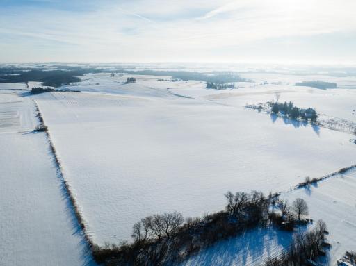 TBD XXXX Black Hammer Drive, Spring Grove, MN 55974