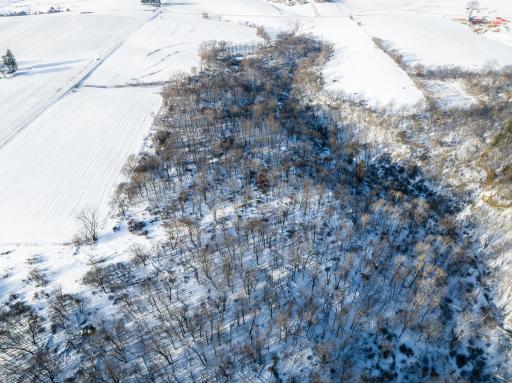 TBD XXXX Black Hammer Drive, Spring Grove, MN 55974