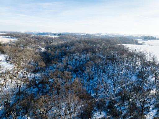 TBD XXXX Black Hammer Drive, Spring Grove, MN 55974