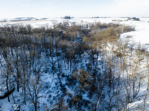 TBD XXXX Black Hammer Drive, Spring Grove, MN 55974
