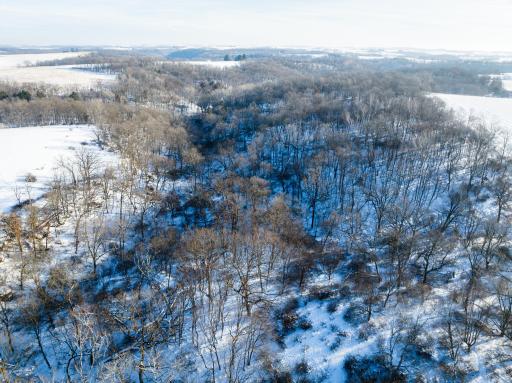 TBD XXXX Black Hammer Drive, Spring Grove, MN 55974