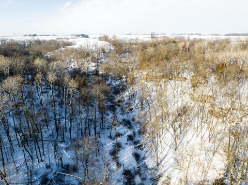 TBD XXXX Black Hammer Drive, Spring Grove, MN 55974