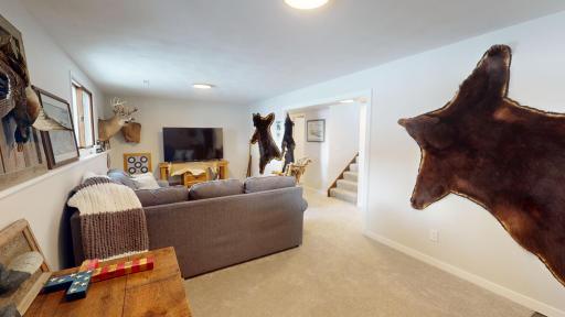 Lower level family room
