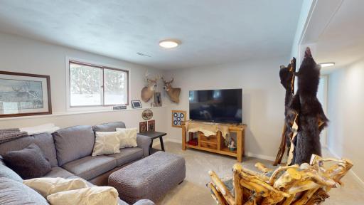 Lower level family room
