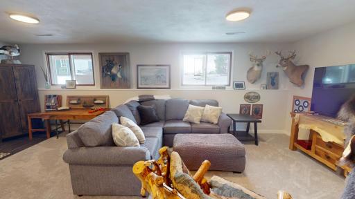 Lower level family room