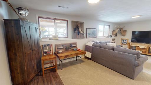 Lower level family room