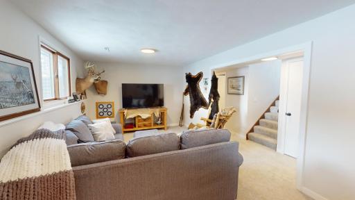 Lower level family room