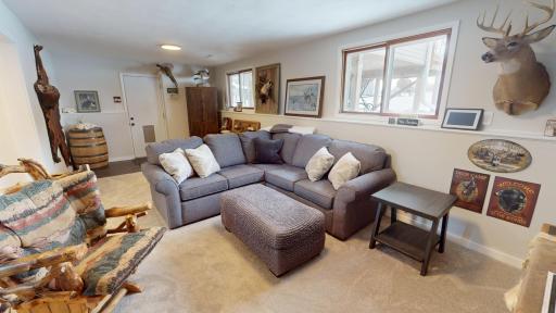 Lower level family room