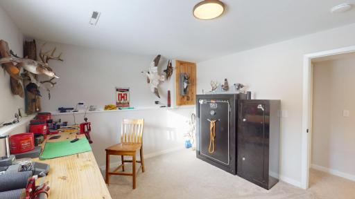 Lower level bedroom 3