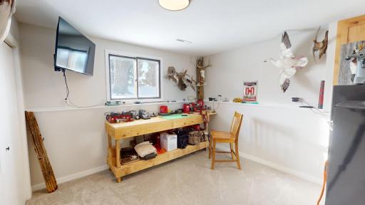 Lower level bedroom 3