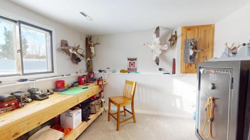 Lower Level bedroom 3