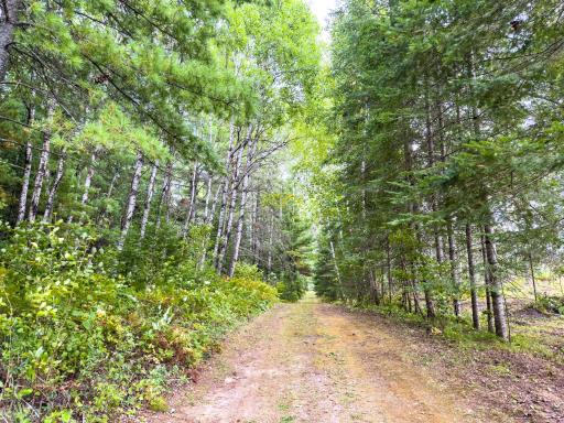 35726 Dinner Lake Loop, Park Rapids, MN 56470