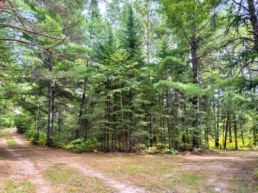 35726 Dinner Lake Loop, Park Rapids, MN 56470