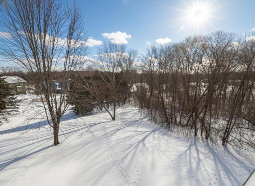 1381 Berry Ridge Road, 604, Saint Paul, MN 55123