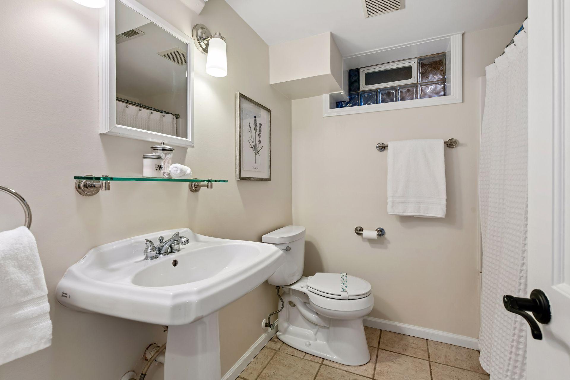 Lower level 3/4 bathroom