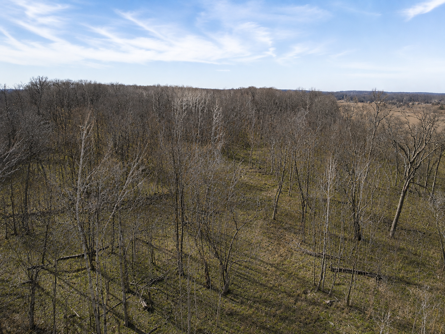 Ai'd photo removing snow and greening up grass