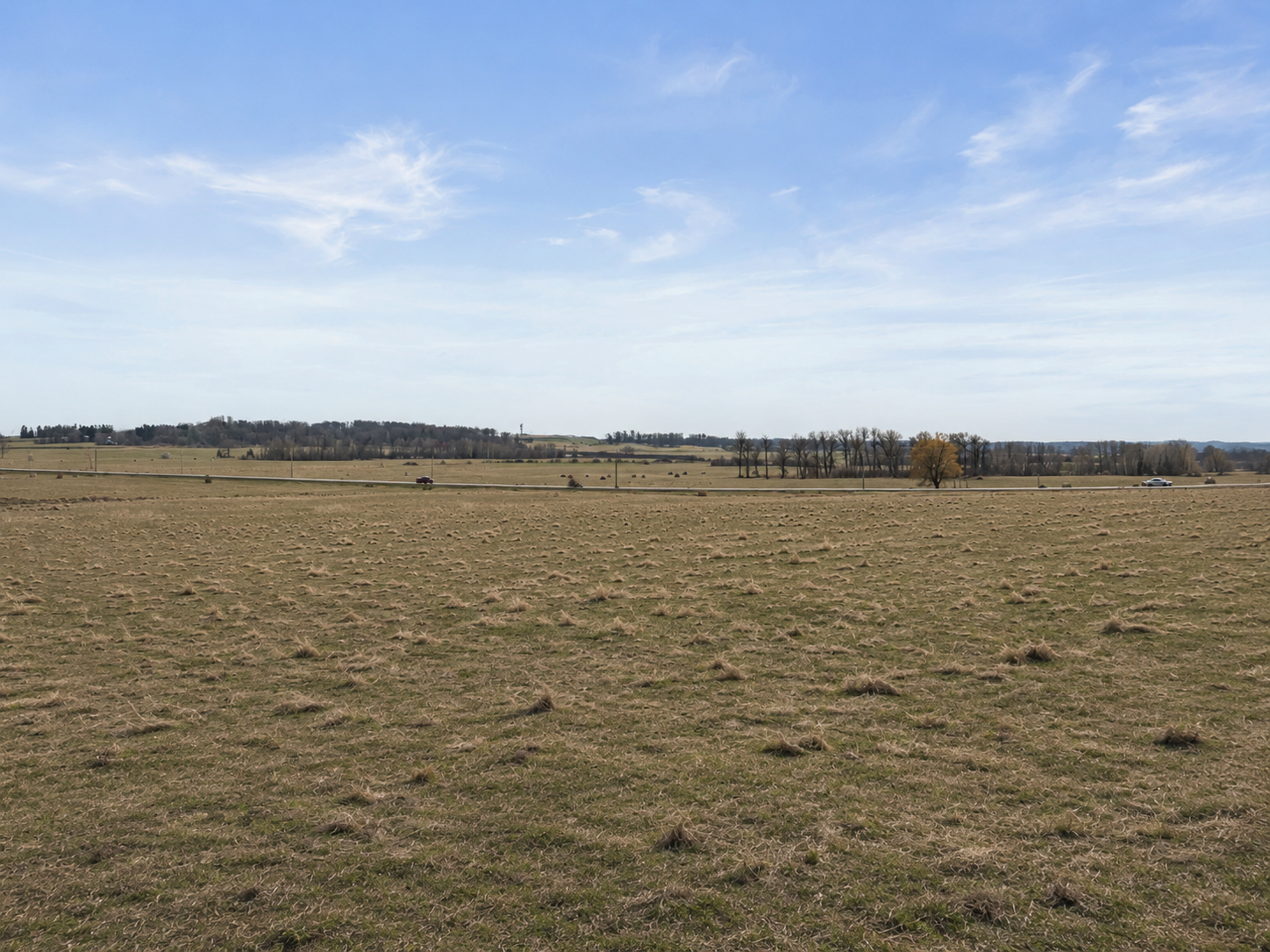 Ai'd photo removing snow and greening up grass