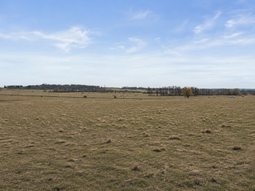 Ai'd photo removing snow and greening up grass