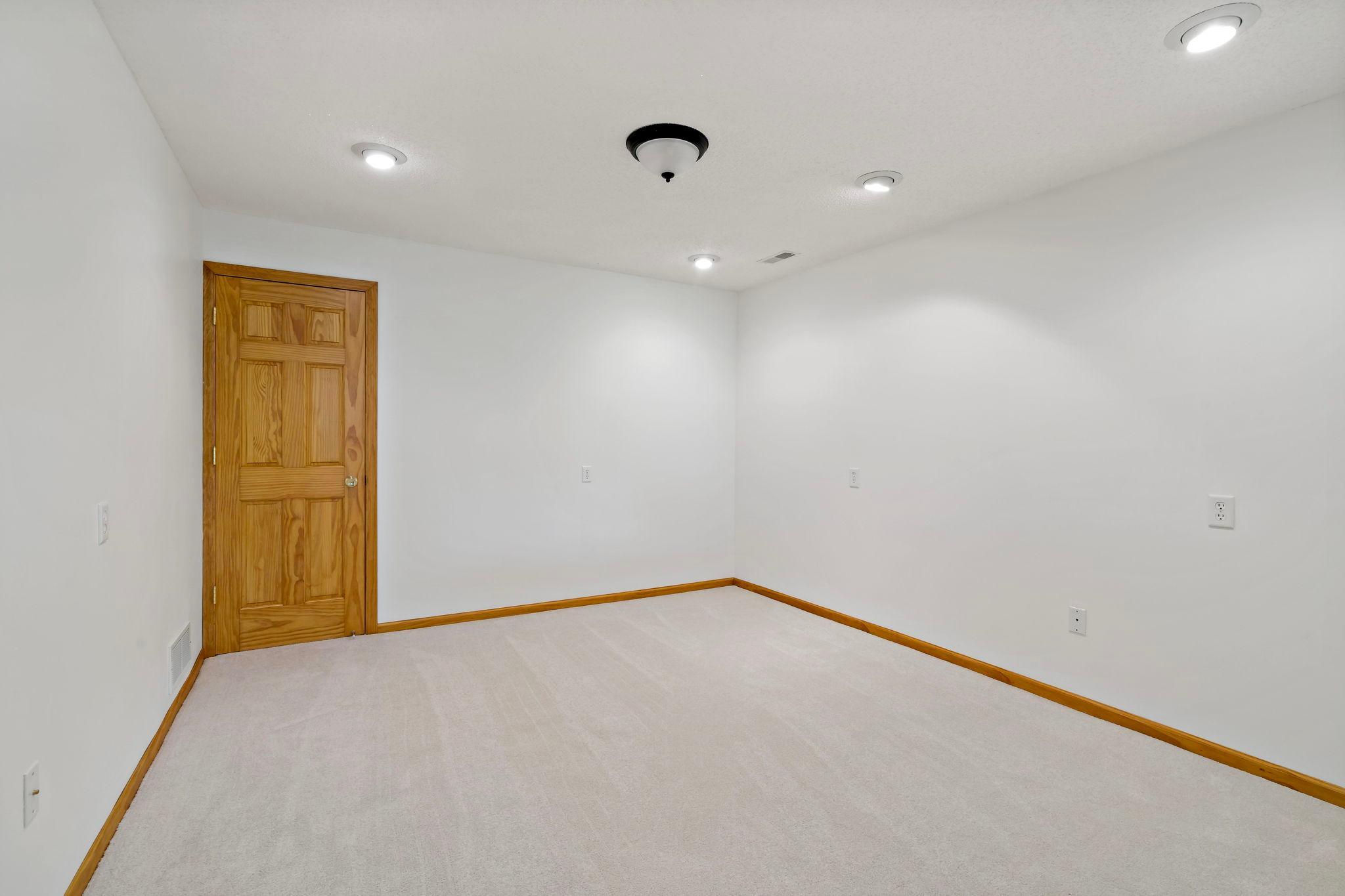 Flex:Multi Purpose Room-763 Lake Ridge Dr Woodbury MN_0051.jpg