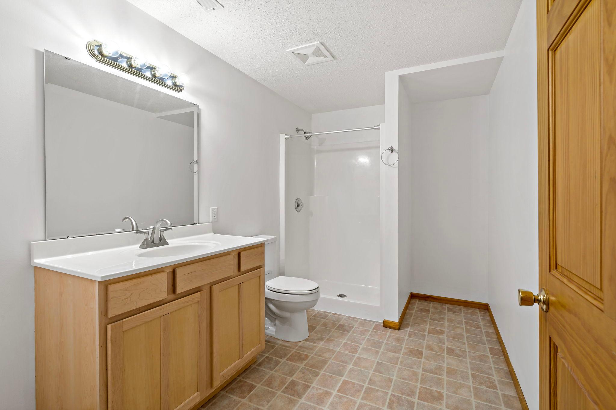 Bathroom- Lower Level-763 Lake Ridge Dr Woodbury MN_0055.jpg