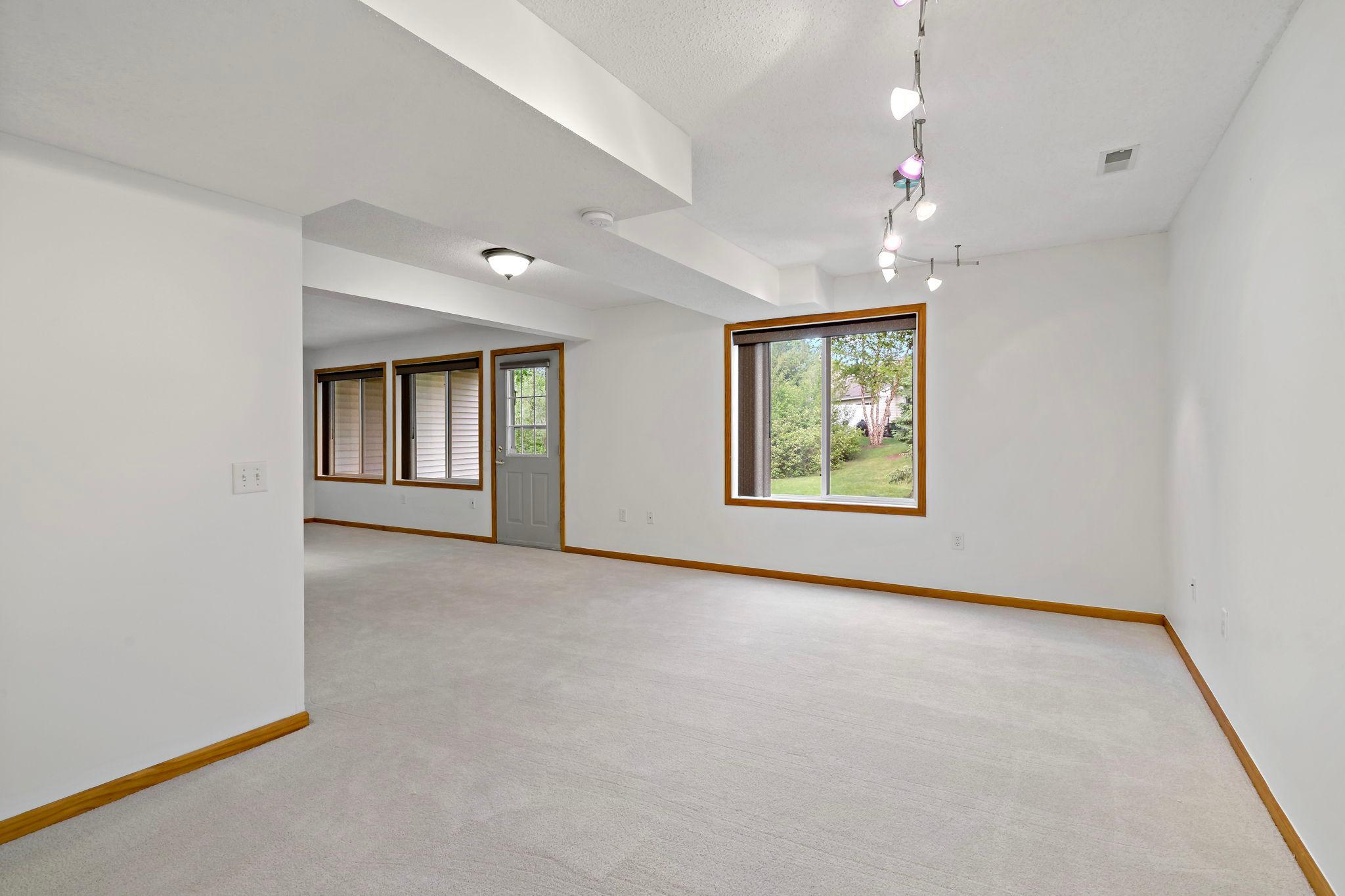 Lower Level : Windows-763 Lake Ridge Dr Woodbury MN_0047.jpg