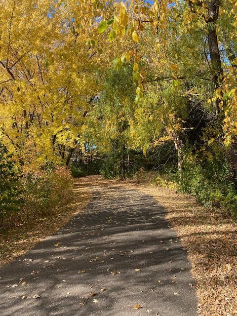 Nearby Walking Trails/ Muskgraf Lake...