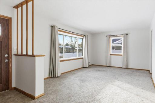 Freshly cleaned carpet