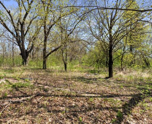 15535 375th Street, Taylors Falls, MN 55084