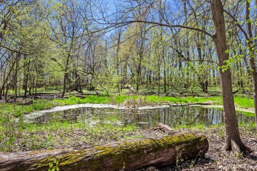 20658 Belle Lake Road, Hutchinson, MN 55350