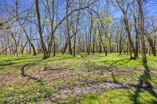 20658 Belle Lake Road, Hutchinson, MN 55350
