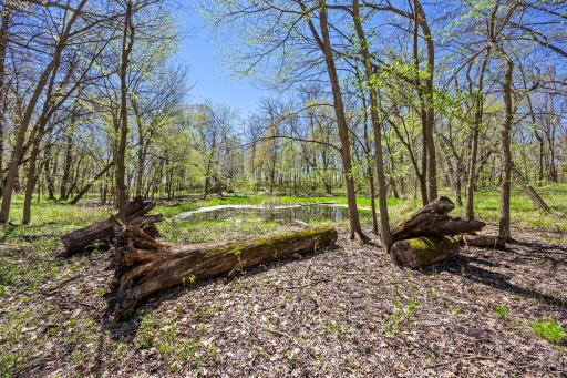 20658 Belle Lake Road, Hutchinson, MN 55350