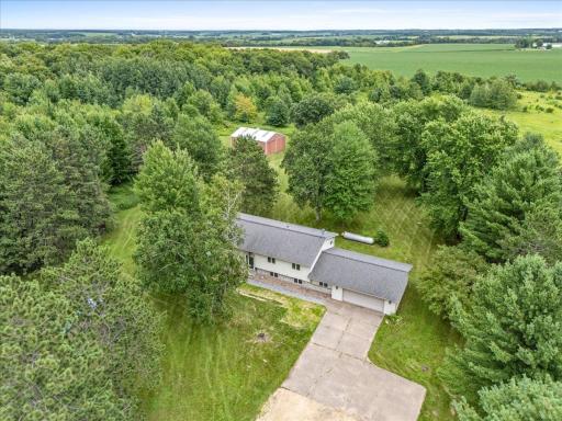 Mature trees surround the home and allow plenty of birds, deer and the like!
