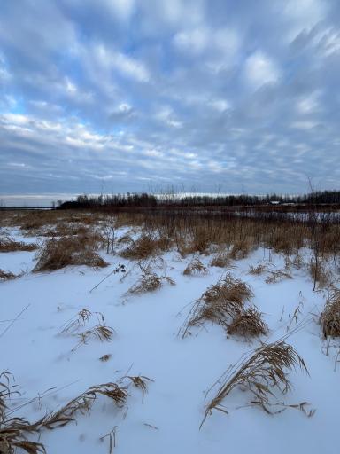 TBD Parcel 2 E Pine Drive, Angle Inlet, MN 56711