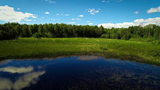 Drone Summer