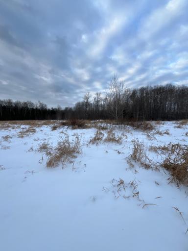 View of Property looking SE