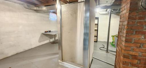 Lower Level Shower