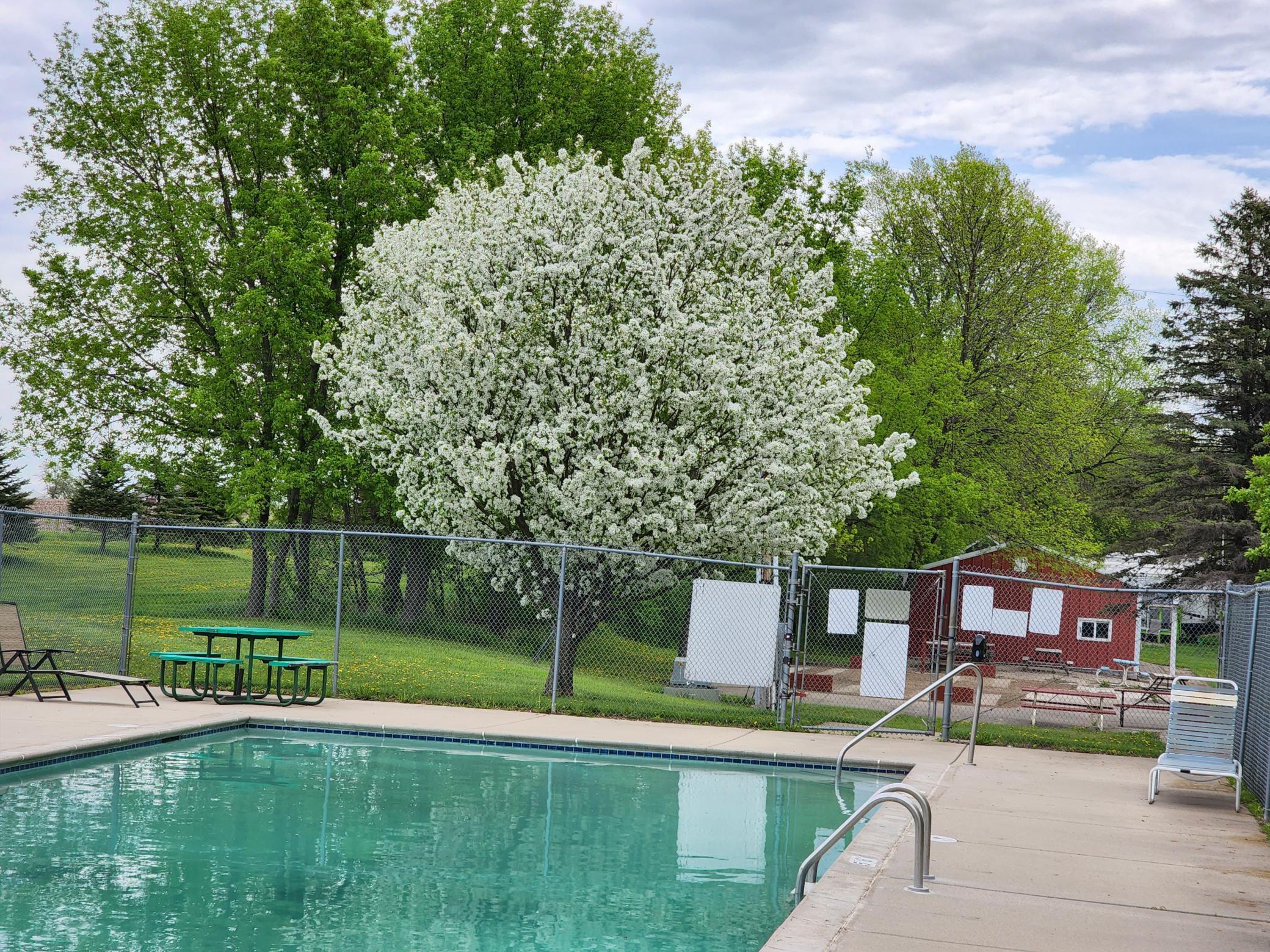 Cokato Lake RV Resort Unit 118 Lofted Park Model, Deck, Shed with peek-a-boo view of Cokato Lake