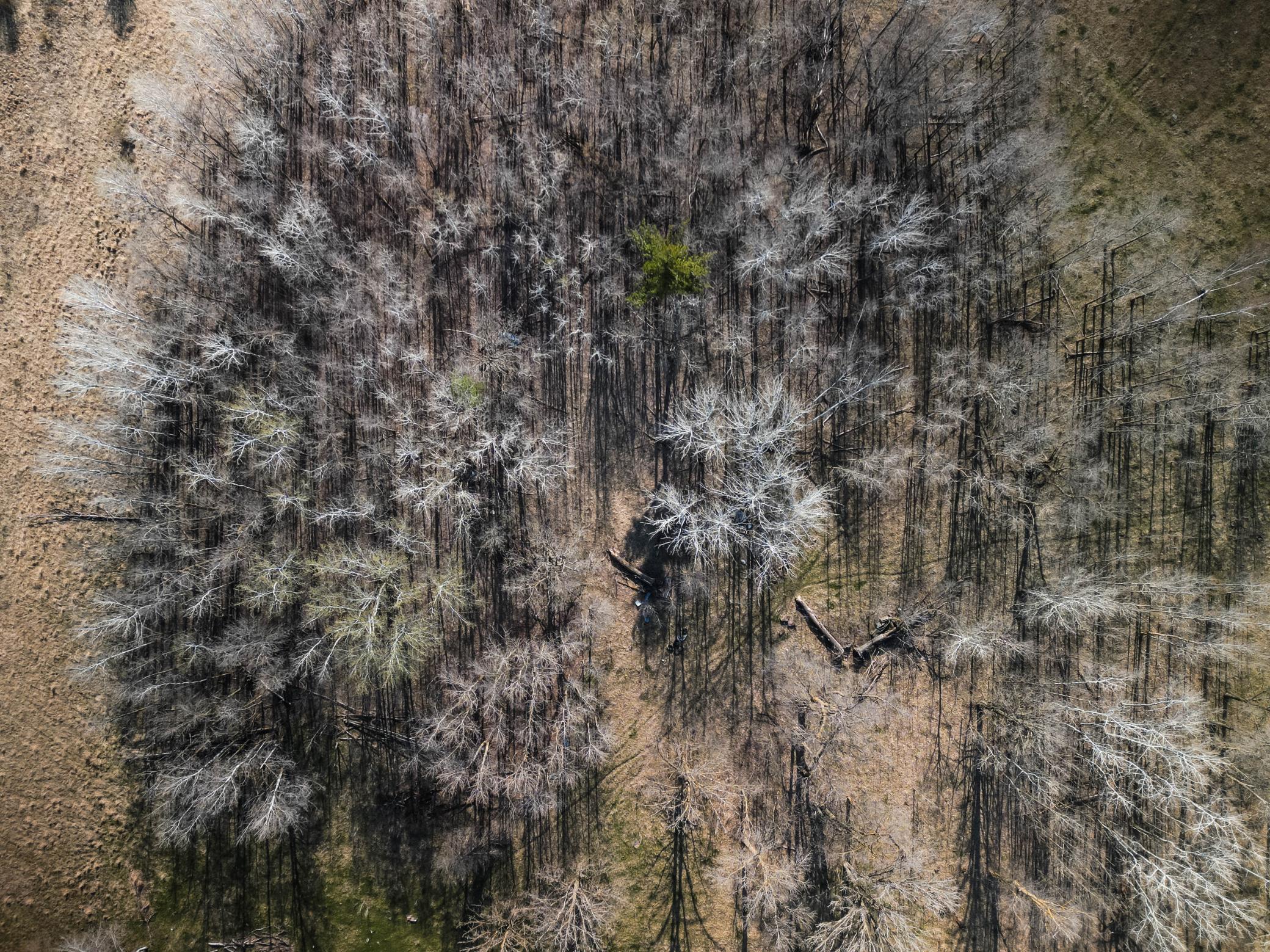 Osage Drone-11.jpg