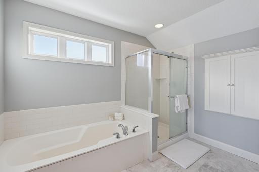 6584 W Laketowne Drive, Albertville, MN 55301