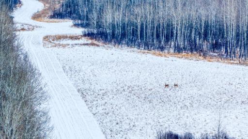 TBD Fourtown Road NW, Grygla, MN 56727