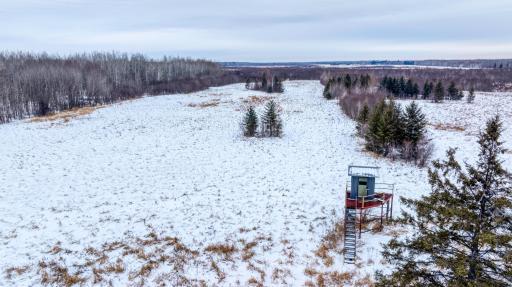 TBD Fourtown Road NW, Grygla, MN 56727