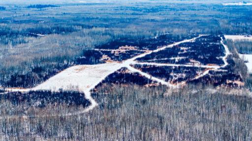 TBD Fourtown Road NW, Grygla, MN 56727