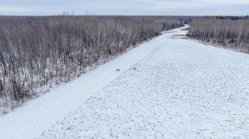 TBD Fourtown Road NW, Grygla, MN 56727