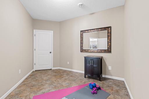 This bonus âFlex Roomâ opens to the lower-level family room, with a door leading to a walk-in closet/storage room. Itâs plumbed for water, making it perfect for use as a kitchen, guest room, office, or hobby space.