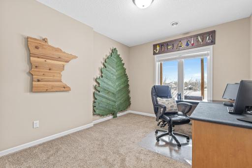 The third lower-level bedroom features a walk-in closet and a lake view.