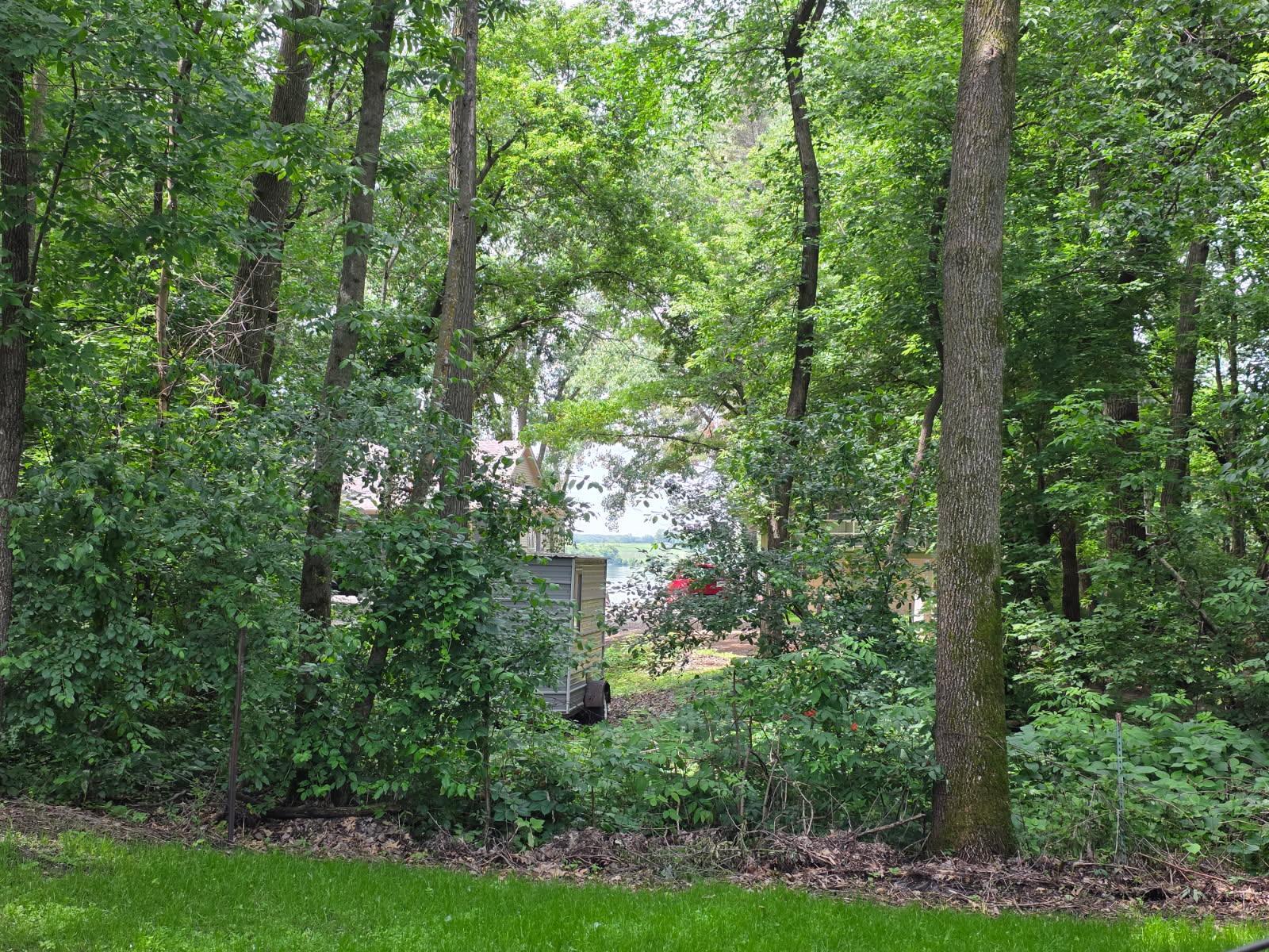 Limited lake view from Unit 63 has pretty trees, green grass, a great parking pad for a heavy RV and a nice level pad for a shed or more parking.