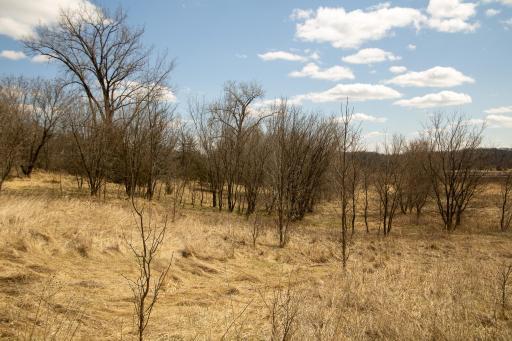 xxx Scandia Trail N, Forest Lake, MN 55025